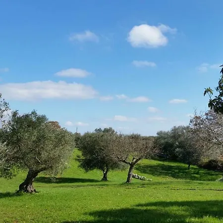 Trulli L'utopia Di Anny Trulli Anny's Utopia * لوكوروتوندو